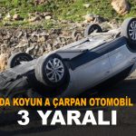 Solhan da koyuna çarpan otomobil devrildi 3 yaralı